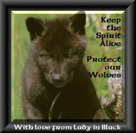 Protect/our/Wolves