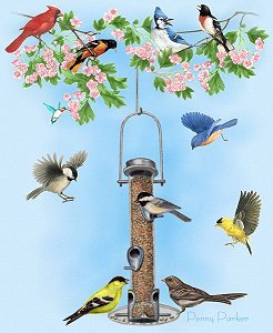 Birds/at/Feeder