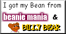 Beanie/Mania/and/Billybear