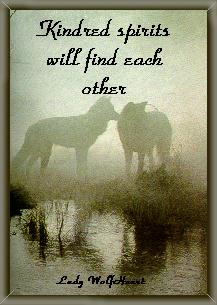 Kindred/Spirits/will/find/each/other