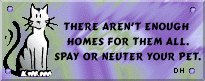 There/aren't/enough/homes/for/them/all/Spay/or/Neuter