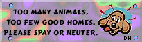 too/many/animals/too/few/good/homes/please/spay/or/neuter