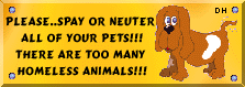 Please.../Spay/or/neuter/all/of/your/pet!!!/There/are/too/many/homeless/animals!!!