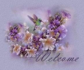 Welcome