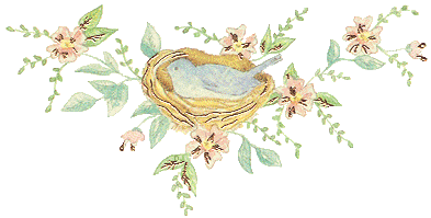 Bird Nest