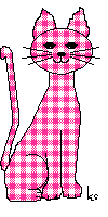 Gingham Kitty