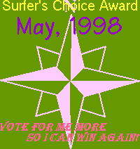 Surfer's Choice Award - May, 1998