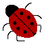 Ladybird