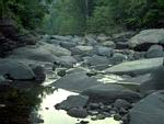 Jumping Stones Poetry Club