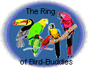 Ring of Bird-Buddies