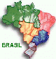 Meu Brasil/My Brazil