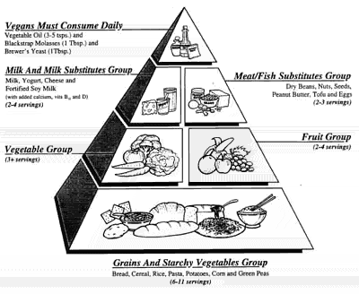 Vegetarian Food Pyramid