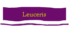 Leuceris