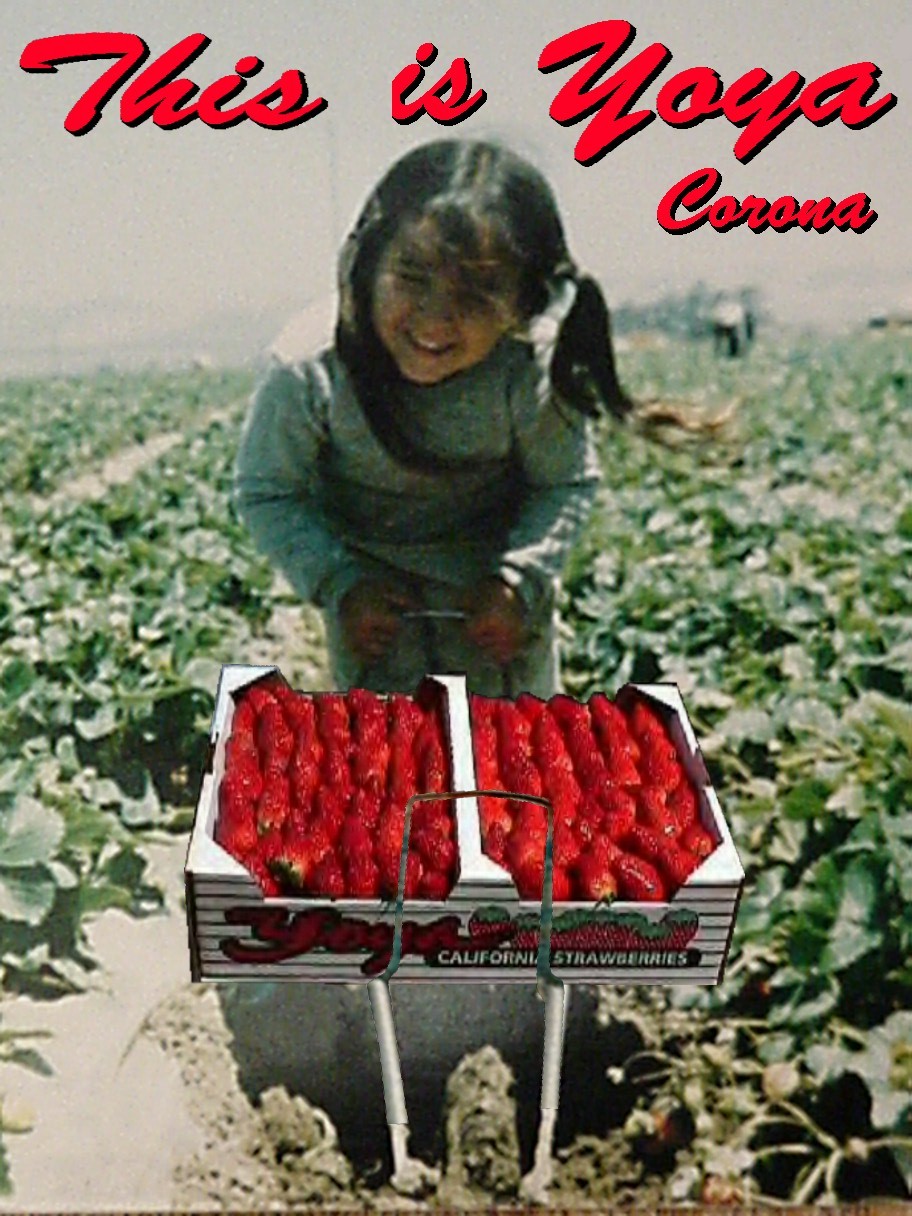 Strawberries