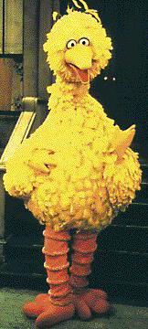 big bird