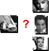 Take the Whose Shoes? Quiz 1 and 2!