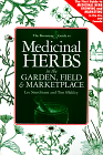 herbs