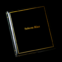 Saleem Riaz - Electronic Portfolio 