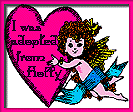 Cupid's Certificate