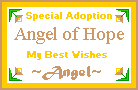 Angel of Hope Certificate