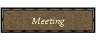 Meeting