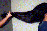 capelli in mano.gif (70807 byte)