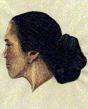 cipolla.gif (19213 byte)