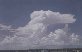 Cumulonimbus capillatus