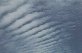 Altocumulus stratiformis