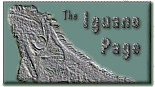 The IguanoPage -- Title