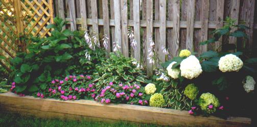 Garden Bed