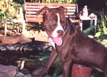 Here I am in front of my grandparent's pond. If you like this picture there are more. Take a look!