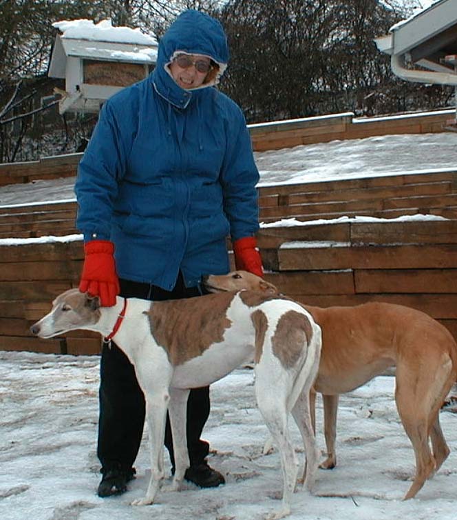 Cathy and her hounds, Cimarron and Fawn, enduring the first snow fall of 2000, January 23