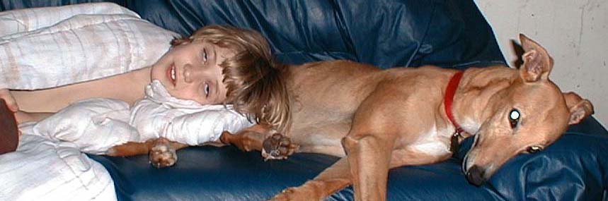 Kate and Fawn napping on the sofa, December 14, 1999