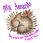 my awards