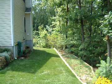 Side Yard on North