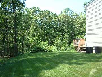 Side Yard By Driveway