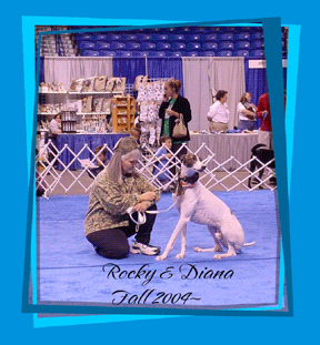 NE Pet Expo 2004