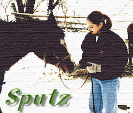 Sputz and Scout