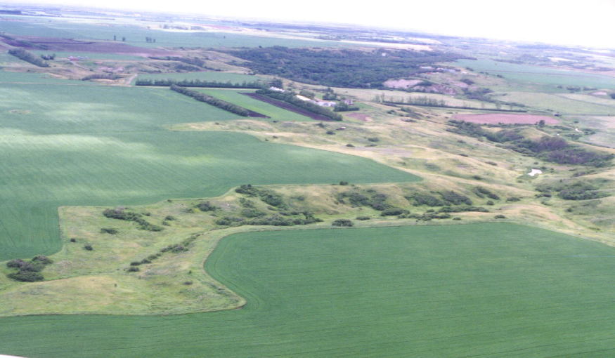 Birds Eye View of the farm