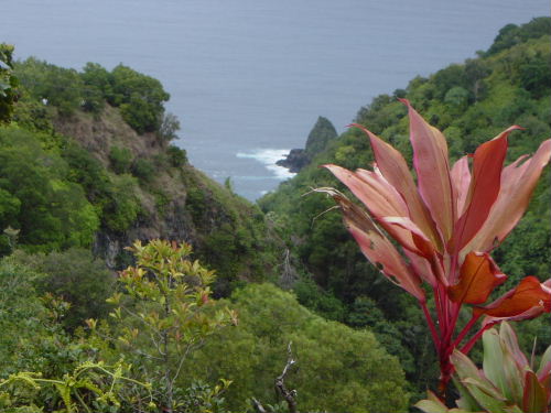 Keopauka Rock (in the movie Jurassic Park).