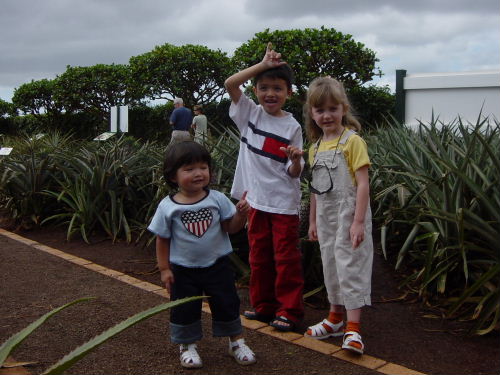 Tia, Noah, and Kelsey and Dole Plantation