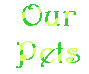 Our Pets