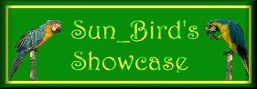 Sun_Bird's Showcase