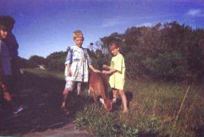 Image of Shane and Erica petting deer