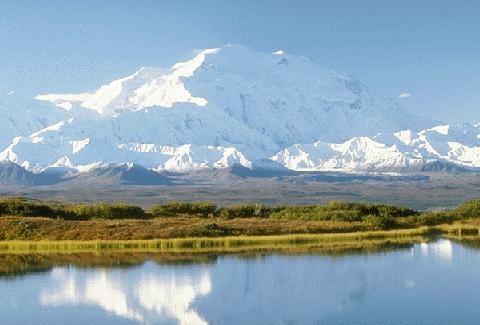 Denali Park Reflections - Alaska