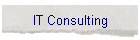 IT Consulting