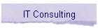 IT Consulting