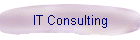 IT Consulting