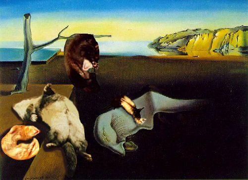 Dali Ferrets